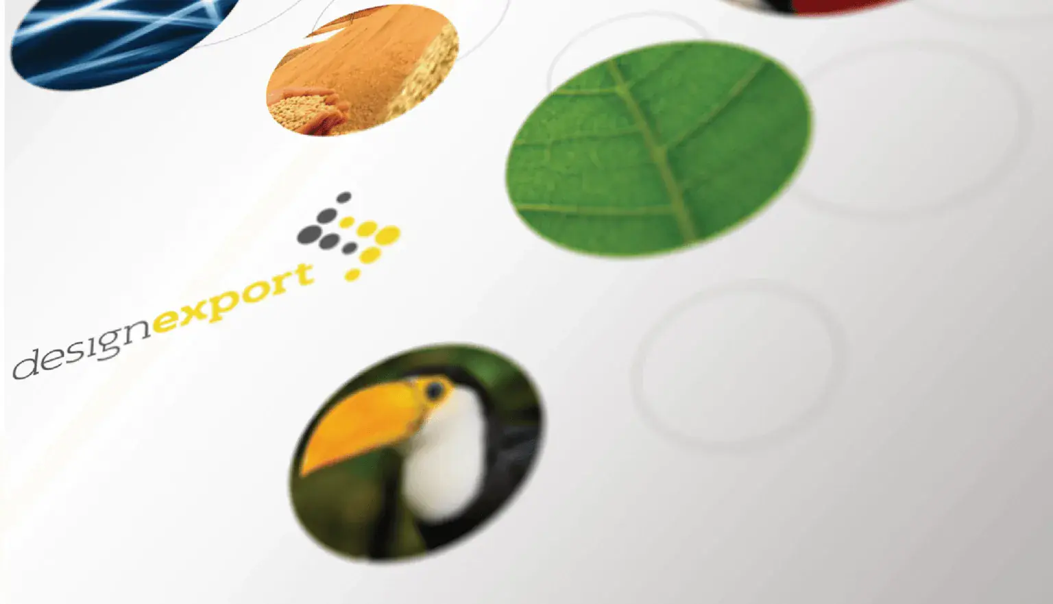 Branding and Visual Identity Project: Design Export (DEX) Program