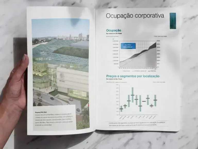 Relatório SEBRAE