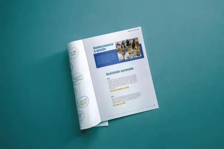 Relatório SEBRAE