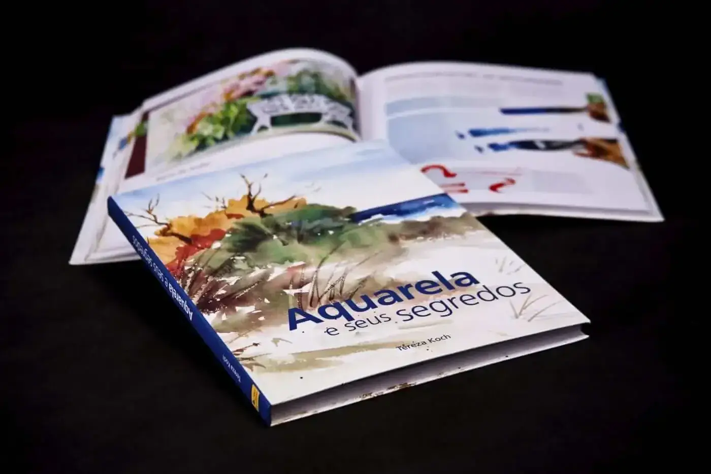 Editorial Design and Layout Project: Aquarela Book