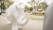 Miniatura de Vídeo