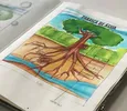 Miniatura de Desenho